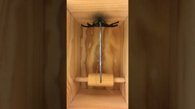 Bug Box inside смотреть онлайн