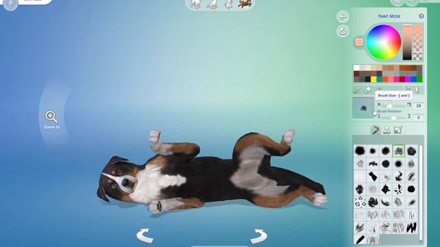 Creating a Bernese Mountain Dog in The Sims 4 Create a Pet смотреть онлайн