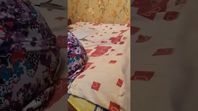 Когда твоя собака не пьёт)) смотреть онлайн