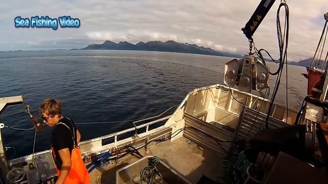 Amazing Big Catch Fishing In The Sea - Fastest Catch Hundreds Tons Of Fish With Modern Big Boat