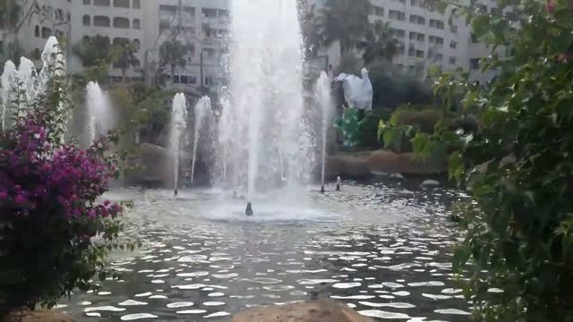 Marina dor Flora y Fauna. Jardines Marina d'or. Apartamentos en Marina d'or смотреть онлайн
