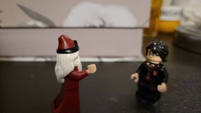 HARRY DID YA PUT YOUR NAME IN THE GOBLET OF FIRE! смотреть онлайн