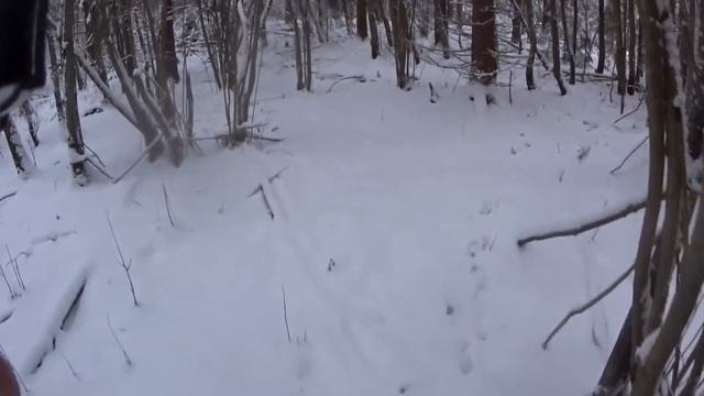 Итоги сезона по зайцу 2021 2022 годов