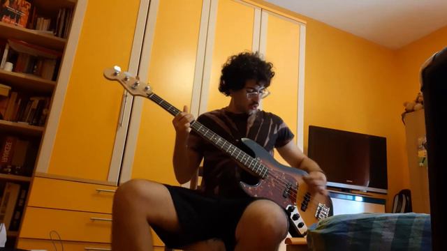 Again-Alice In Chains Bass Cover