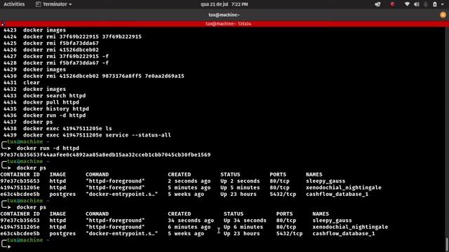 Curso de docker para iniciantes - Manipulando imagens e containers. смотреть онлайн