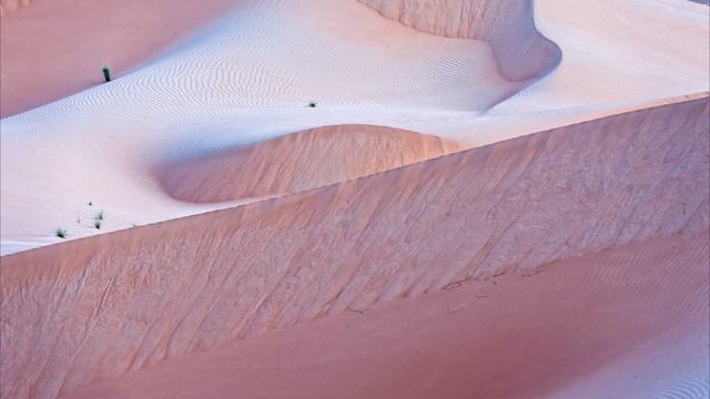 The Desert of Abu Dhabi смотреть онлайн