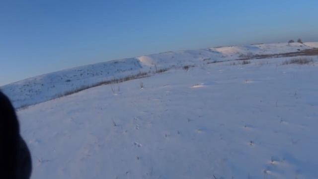 Охота на зайцев - Мороз и солнце смотреть онлайн