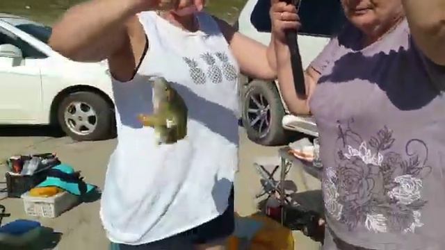 бабуля Поймала окуня и мы все с ним фоткались сторое видео #якутия #рыбалка #рыба #окунь #булгун смотреть онлайн