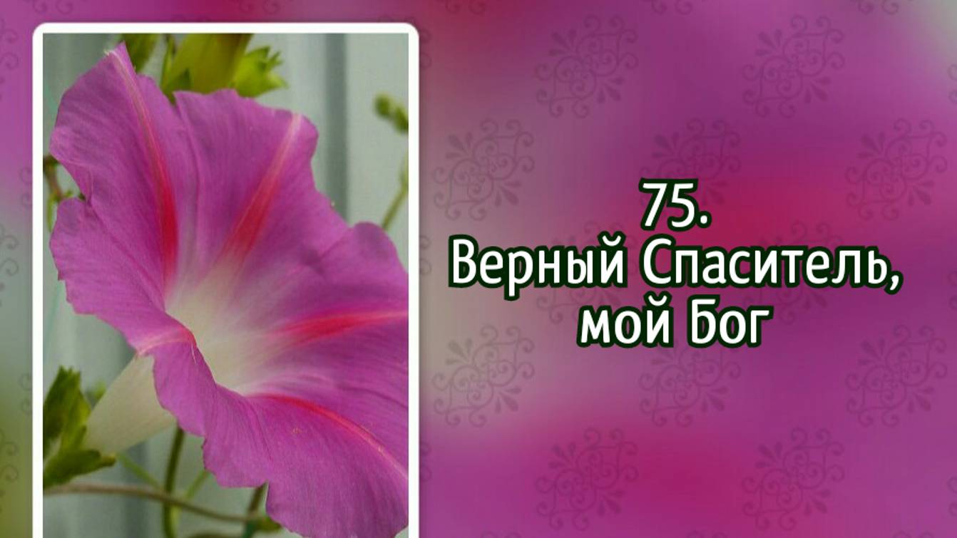 Гимны надежды 75 Верный Спаситель, мой Бог (-) смотреть онлайн