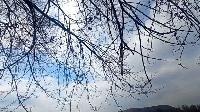 МОРЖЕВАНИЕ и плавание на реке Енисей смотреть онлайн