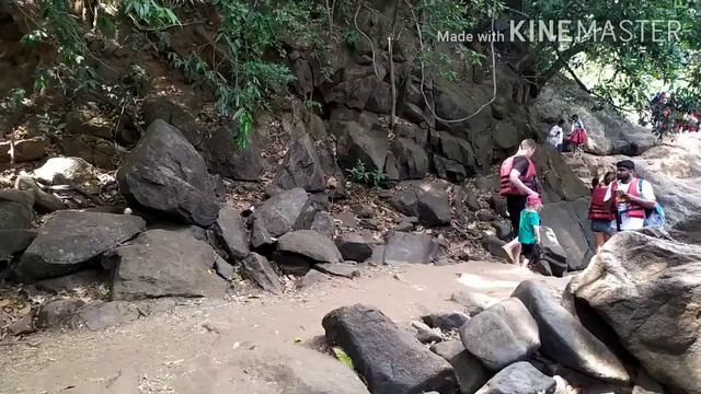 Гоа, поездка на водопад Дудхсогар смотреть онлайн