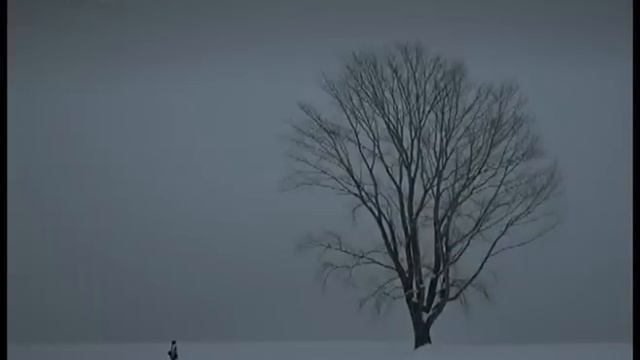 Sony Alpha CF (korea version) смотреть онлайн