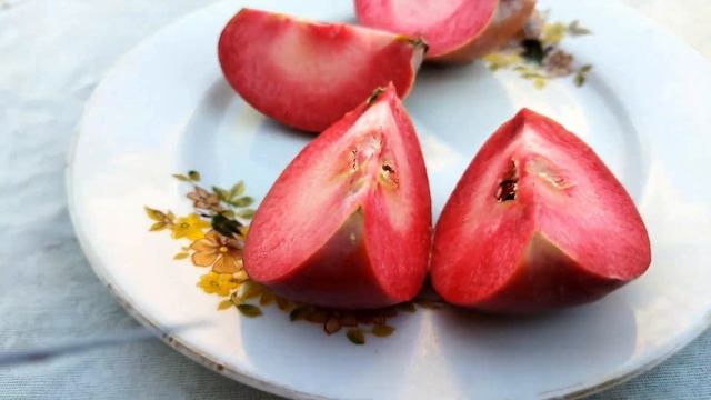 Ред Китти. Первый урожай. смотреть онлайн