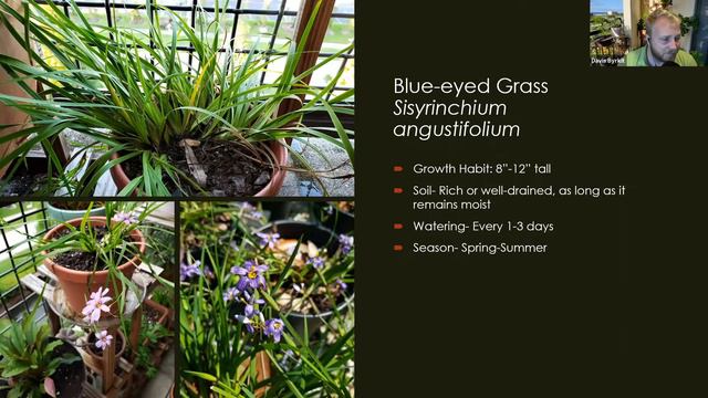 PCFNPS Presents: Container Gardening With Florida Native Plants - Davis Byrkit, Wilcox Nursery