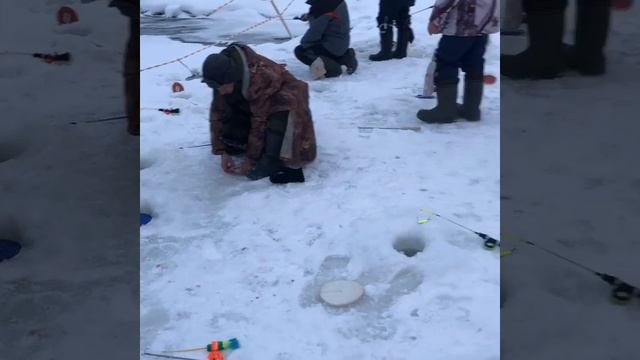 Зимняя рыбалка на форель. ProFishing Аксёно-Бутырки смотреть онлайн