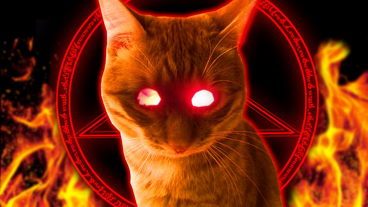 ИГРА ПРО ТИГРУ?? | Tigra Revenge смотреть онлайн