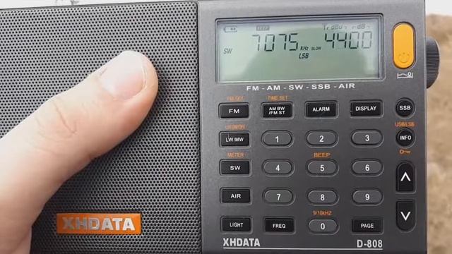 Соревнование Молодежного первенства РФ по радиоспорту (06.04.2019) смотреть онлайн
