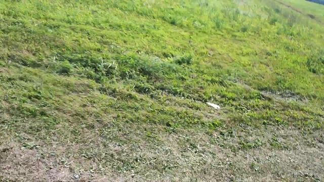 Прессуем сено 2023 Два пресса в поле! Metal-fach v/s Welger смотреть онлайн