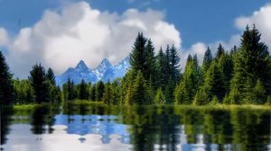 ФУТАЖ FOOTAGE-озеро природа россия