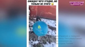 Я РЖАЛ ДО СЛЕЗ | 10 МИНУТ ЛУЧШИХ ПРИКОЛОВ Смешные видео - Лучшие Русские Приколы