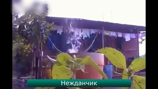 Нарезалово #18 Угарная нарезка приколов. Август 2016 смотреть онлайн