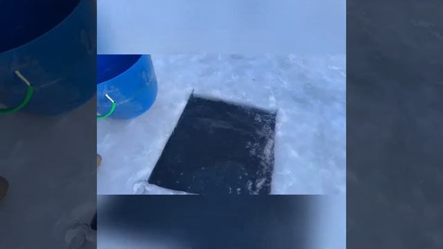 Зарыбление форелью смотреть онлайн