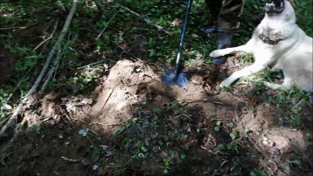 За два с половиной часа накопали с сыном тонну железа. смотреть онлайн