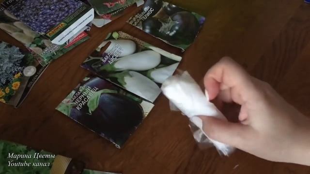 БАКЛАЖАНЫ! 2 СУПЕР СПОСОБА ПРОРАЩИВАНИЯ СЕМЯН НА РАССАДУ Закалка и без! Метод Керимова Губки мочалк смотреть онлайн