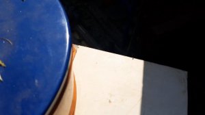 Супер траворезка, сенорезка с двигателем от старой стиральной машины//Основа своими руками