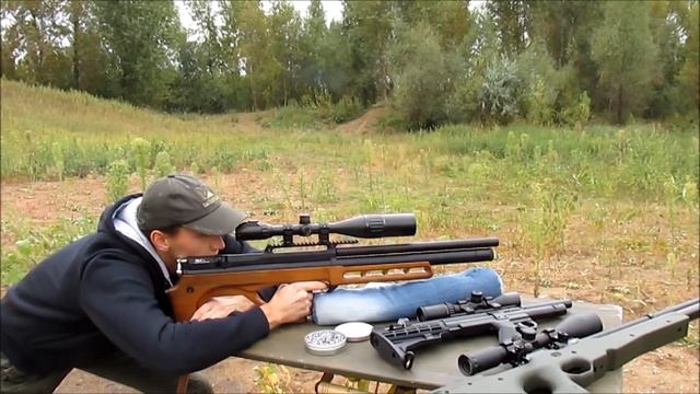 большой обзор винтовок псп 2017 год