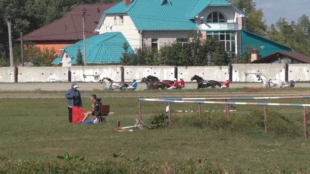 Приз Пиона 2 гит, Курган 12.08.2023 смотреть онлайн