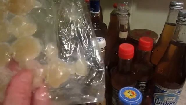 Наука о Здоровье и Жизни