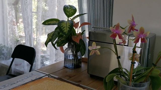 Музыкальные Каверы