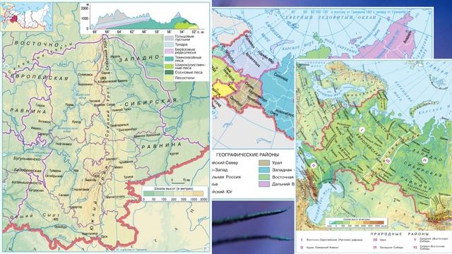 §43 "Пространство Урала", География 9 класс, Полярная звезда смотреть онлайн