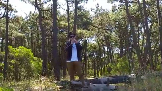 Julian Mur - Flute in the forest. смотреть онлайн