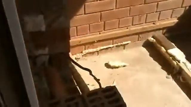 Что скрывается за большими скидками и низкими ценами на пластиковые окна?