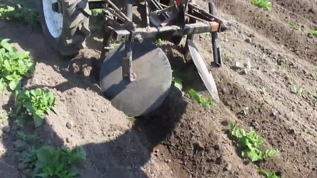 окучивание картофеля мотоблоком Карвер 2017 год смотреть онлайн