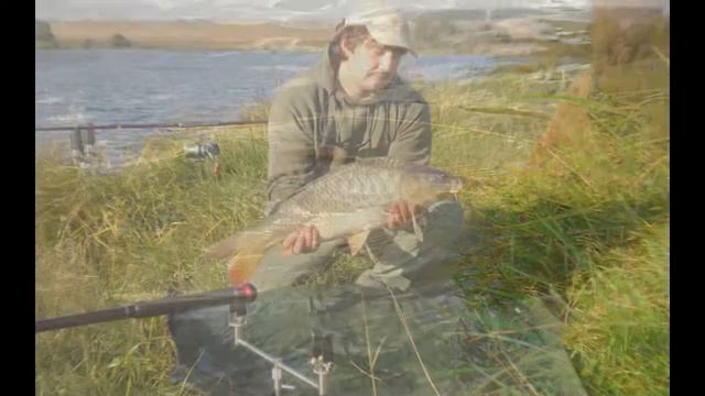 CARP-OF-DREAM смотреть онлайн