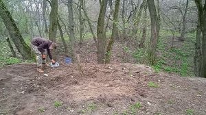 Грядки Хольцера сажаю КАРТОШКУ в лесу органическое земледелие в лесу