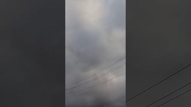 TAKLA ПОДЕНИЕ такла игра, такла голуби, pigeons, голуби, турецкая такла, бйние, смотреть онлайн