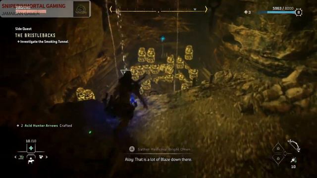 HORIZON FORBIDDEN WEST GAMEPLAY WALKTHROUGH (PS4 PRO HD 60FPS) PART 9 - SIDE QUESTS THE BRISTLEBACK смотреть онлайн