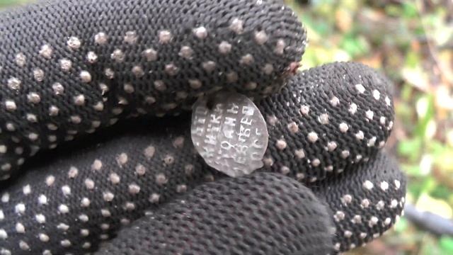 За чешуёй в старинный лес. смотреть онлайн