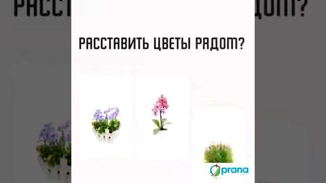 Установи вентиляцию - рекуператор PRANA. смотреть онлайн