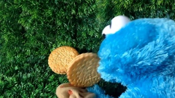 cookie monster eating cookies