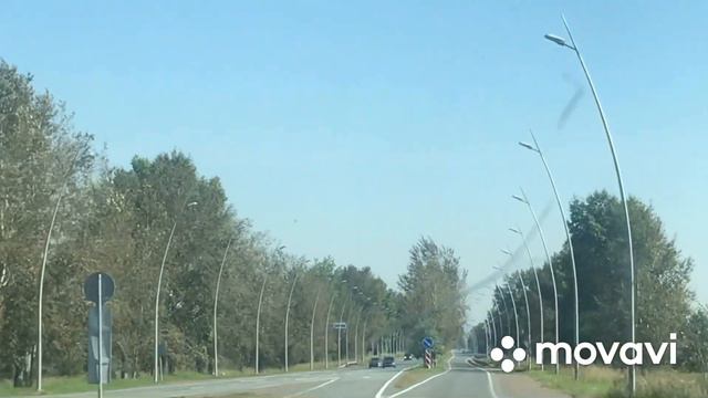 У нас туман. Пополнение в хозяйстве😊 корма каждый день дорожают💰💵💵💵💵💵💵 смотреть онлайн