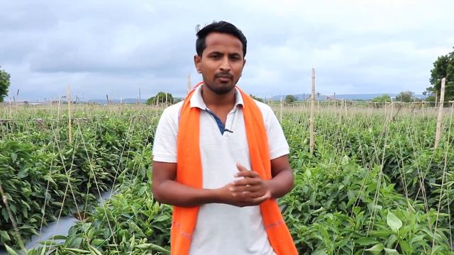 वायरस VIRUS वायरस 😥😥 Virus Attack And Control All Information In Hindi | Indian Farmer