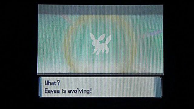 Pokemon Pearl/Diamond How To Get Umbreon (HD) смотреть онлайн