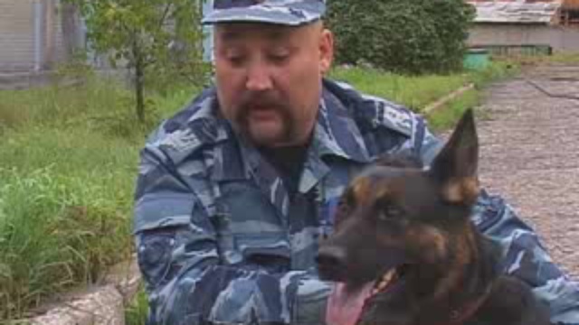 кинологи