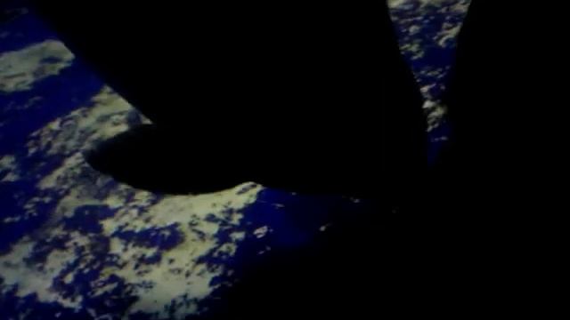 Байкальская-Нерпа смотреть онлайн