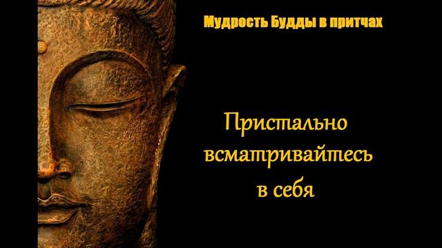 Пристально всматривайтесь в себя смотреть онлайн